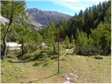 end of road on Pokljuka - Šmarjetna glava